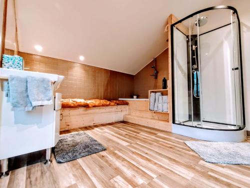 a bathroom with a shower and a mirror at La Maison cachée du PAVILLON BELLEVUE in Belley