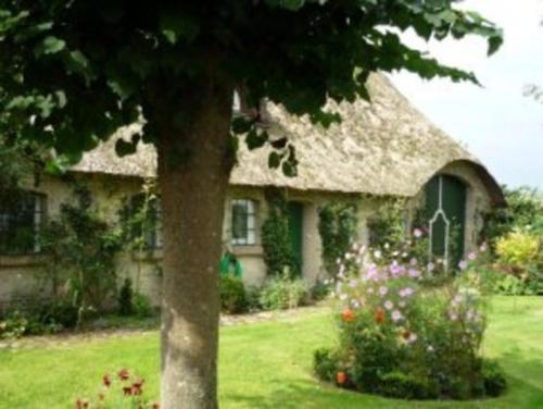 a large house with a tree in the yard at Little Rose Cottage - Urlaub unter Reet zwischen den Meeren in Börm