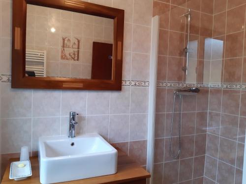 une salle de bain avec un lavabo et une douche dans l'établissement Au Domaine des oiseaux, à Montredon