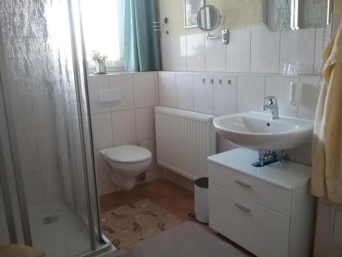 a bathroom with a toilet and a sink and a shower at Ferienwohnung Einenkel in Seiffen