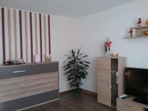 a living room with a tv and a potted plant at Ferienwohnung Einenkel in Seiffen