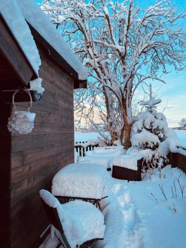 a house covered in snow next to a tree at Forest Chalet, 15 min to salzburg olt town, and most beautiful lakes, secluded location, 1,000 sqm garden, mountainview, panorama sauna, bath whirlpool, BBQ&bikes&sunbeds for free, up to 10 p in Golling an der Salzach
