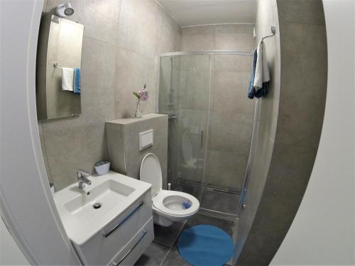 Kúpeľňa v ubytovaní Villa Zaric Malinska