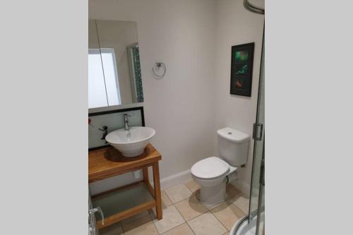 a bathroom with a toilet and a sink at Unkenhaus. Cosy, modern apartment, private parking in Lerwick