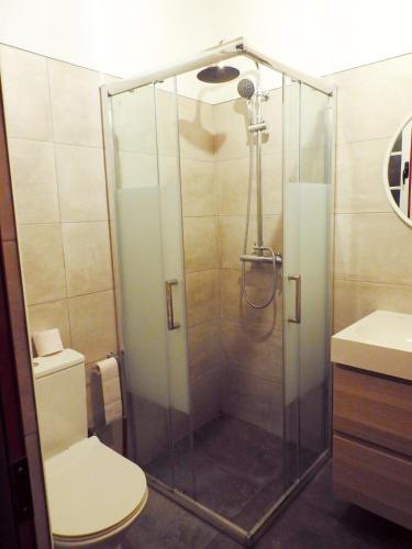 a bathroom with a shower with a toilet and a sink at Janela do Porto in Prainha de Baixo