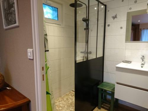 une salle de bain avec douche et lavabo dans l'établissement Appartement Belle Vue, à Gérardmer