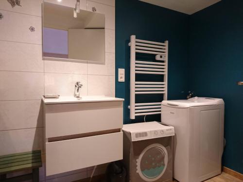 a bathroom with a washing machine and a sink at Appartement Belle Vue in Gérardmer