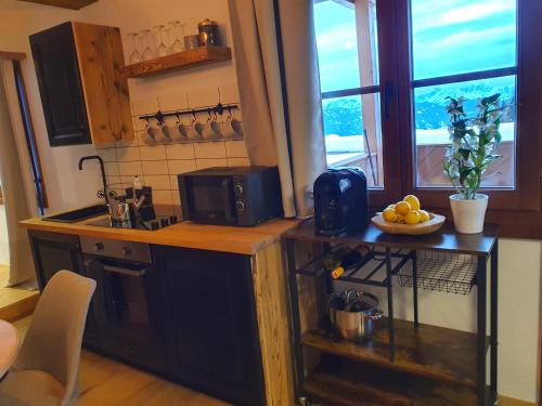 a kitchen with a counter with a sink and a microwave at Kozma Apartment Gerlitzen in Kanzelhöhe
