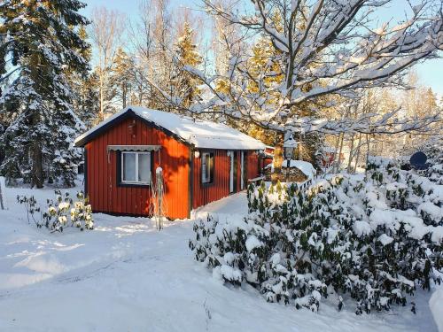 a red cabin in the snow with snow covered plants at Guesthouse at Ingarö Stockholm archipelago (breakfast) in Grönskan