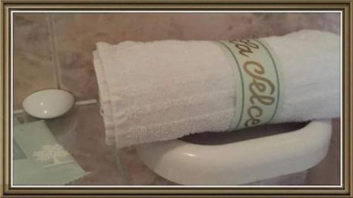 a roll of toilet paper sitting on top of a toilet at Hotel La Selce in Monselice