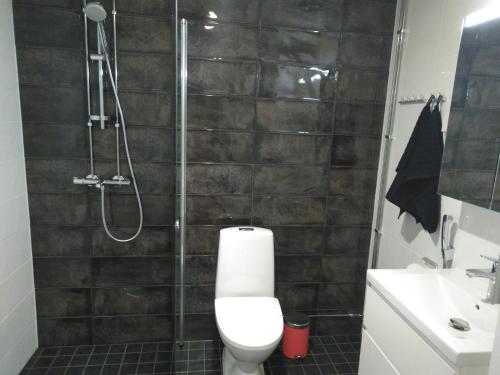 a bathroom with a shower and a toilet and a sink at Lutakko Apartment 2 with free car parking in Jyväskylä
