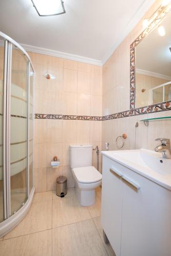 a bathroom with a toilet and a sink and a shower at nikis Flat in Playa del Ingles