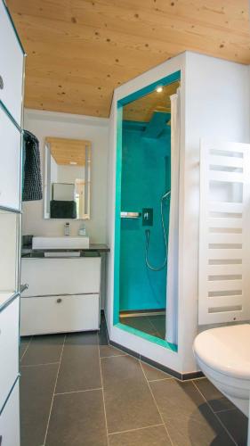 a bathroom with a toilet and a green door at Studio Riseten in Adelboden