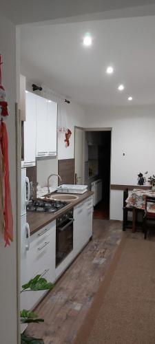a kitchen with a sink and a stove top oven at Apartman Sara - Delnice in Delnice
