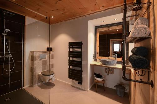 La salle de bains est pourvue d'une douche, de toilettes et d'un lavabo. dans l'établissement Un R de Mémises, à Thollon-les-Mémises