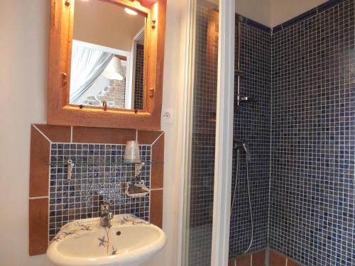 a bathroom with a sink and a mirror and a shower at Les Grillons du Morvan in Montsauche