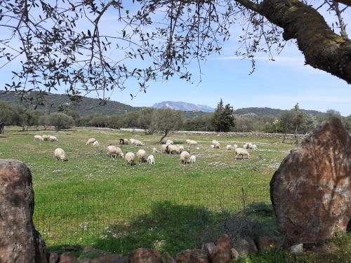 Agriturismo Pira Pinta – Photos 3