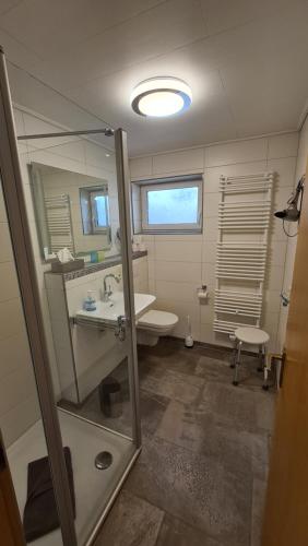 a bathroom with a sink and a toilet and a mirror at Ferienwohnung im Sauerland - nähe Olpe (Biggesee) in Drolshagen