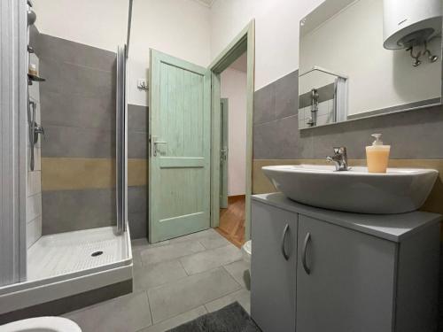 y baño con lavabo y ducha. en B&B Le Ginestre, en Colleferro