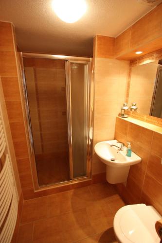 a bathroom with a shower and a toilet and a sink at Pension Wunsch in Jaroměř