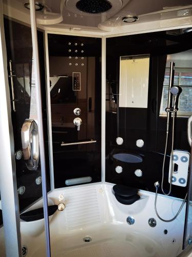 a bathroom with a shower with a toilet in it at Gemütliche Dachwohnung mit kleiner oder großer Dachterrasse nebeneinander in Wolmirstedt