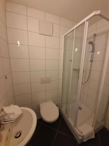 a bathroom with a shower and a toilet and a sink at Walensee House & Apartments in Unterterzen