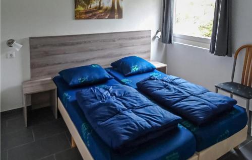 a bed with blue pillows on it in a room at Awesome Home In Simpelveld With 1 Bedrooms And Wifi in Simpelveld