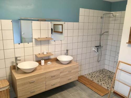 ein Bad mit 2 Waschbecken und einer Dusche in der Unterkunft Saint Gorgon Gite in Euville