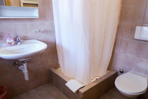 een badkamer met een wastafel, een toilet en een douche bij Davos Youth Hostel in Davos