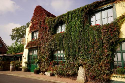a building covered in ivy on a street at Hotel Restaurant Tonino in Bad Bentheim