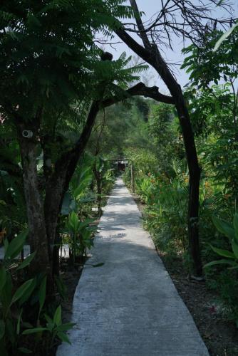 a walking path in a park with trees at Havelock Farms Resort in Havelock Island