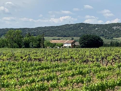un champ de cultures avec une maison en arrière-plan dans l'établissement Appt 2 pieces dans Mas provençal, à Roquemaure
