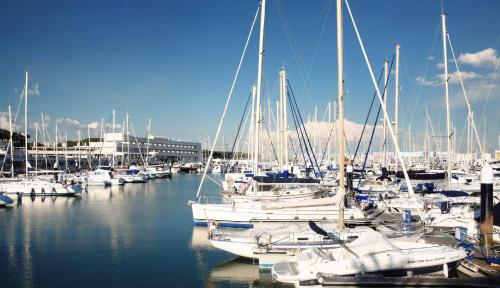 a bunch of boats docked in a harbor at Hotel Puerto Sherry in El Puerto de Santa María