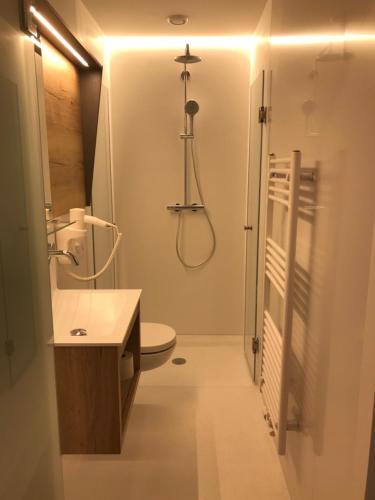 a bathroom with a shower and a toilet and a sink at Wein & Landhaus Willi Opitz in Illmitz