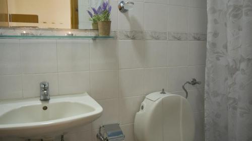 a white bathroom with a sink and a mirror at Fani Hotel in Loutra Edipsou