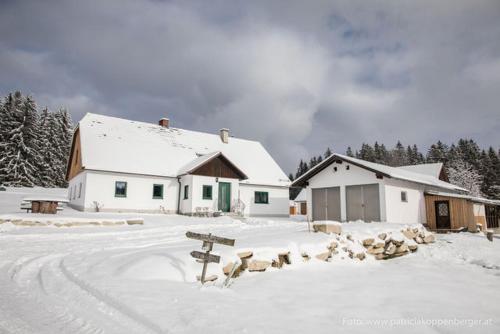 a snow covered yard with a house and a building at Grenzhaus in Karlstift