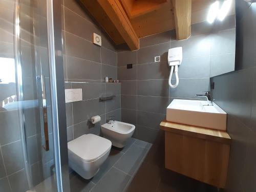 a bathroom with a toilet and a sink and a shower at Locanda La Baita in Santo Stefano di Cadore