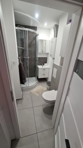 a small bathroom with a shower and a toilet at Dobra Nocka in Oświęcim