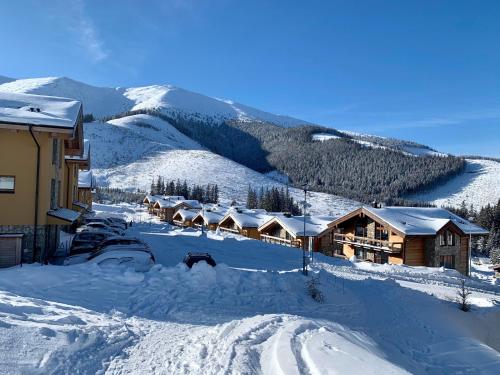 a lodge in the snow with mountains in the background at Apartman - Chalet Demänovka in Demanovska Dolina