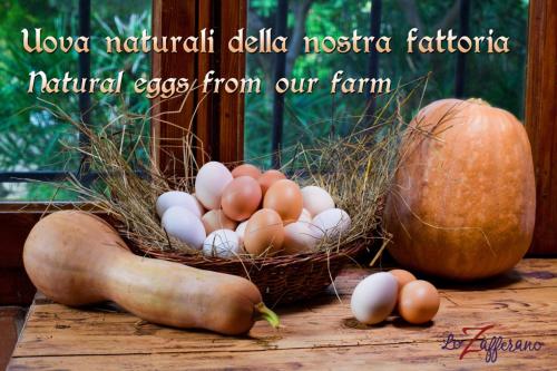 a nest of eggs and vegetables on a wooden table at Casa Zafferano in Albenga