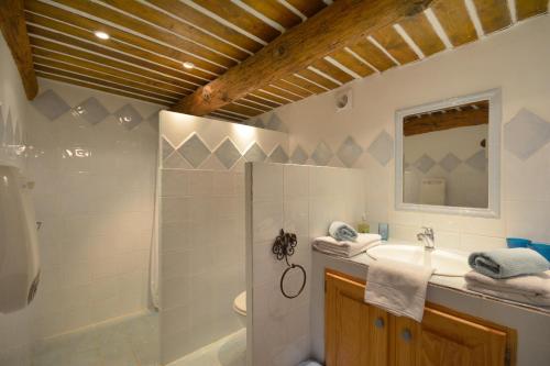 W łazience znajduje się toaleta z prysznicem i umywalka. w obiekcie Chambres d'hôtes Le Vignoble w mieście Cucuron