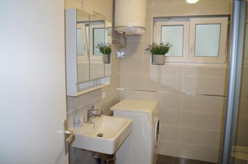 a bathroom with a sink and a toilet and a mirror at Holiday apartment on the beach in Klek