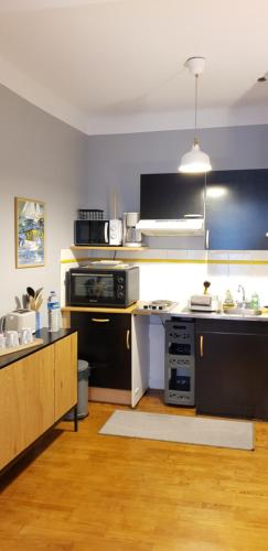 une cuisine avec une cuisinière et un comptoir dans l'établissement Les vieux remparts, à Saint-Malo