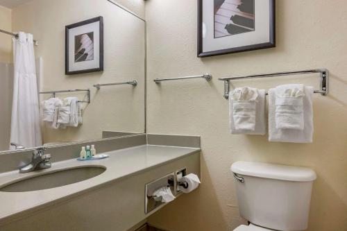 a bathroom with a toilet and a sink and a mirror at Quality Inn Zephyrhills-Dade City in Zephyrhills
