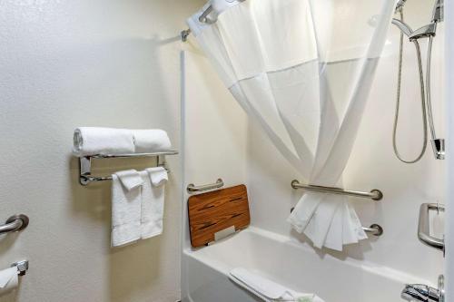 a bathroom with a shower and a sink at Sleep Inn St Robert-Fort Leonard Wood in Saint Robert