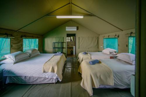 a room with two beds in a tent at Mulati Luxury Safari Camp in Gravelotte