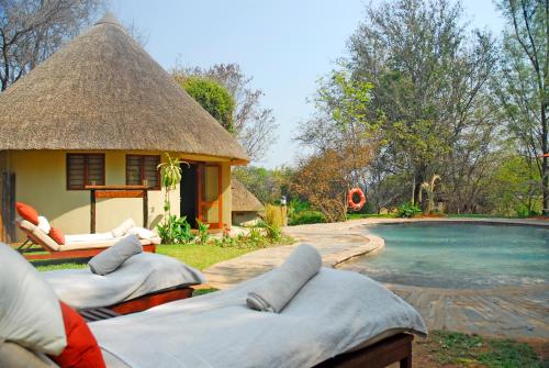 Bazén v ubytování Divava Okavango Resort & Spa nebo v jeho okolí