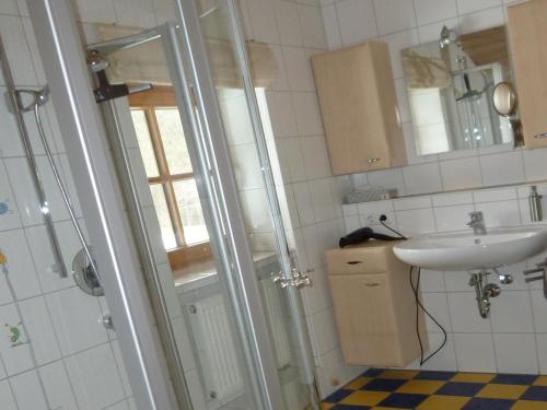 ein Bad mit einer Dusche und einem Waschbecken in der Unterkunft Fembacherhof in Siegsdorf