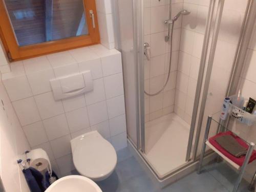 ein Bad mit einem WC und einer Dusche in der Unterkunft Haus Am Ettenberg in Frickingen