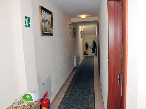 a hallway with a green floor in a room at Guesthouse Elizabeth in Samokov
